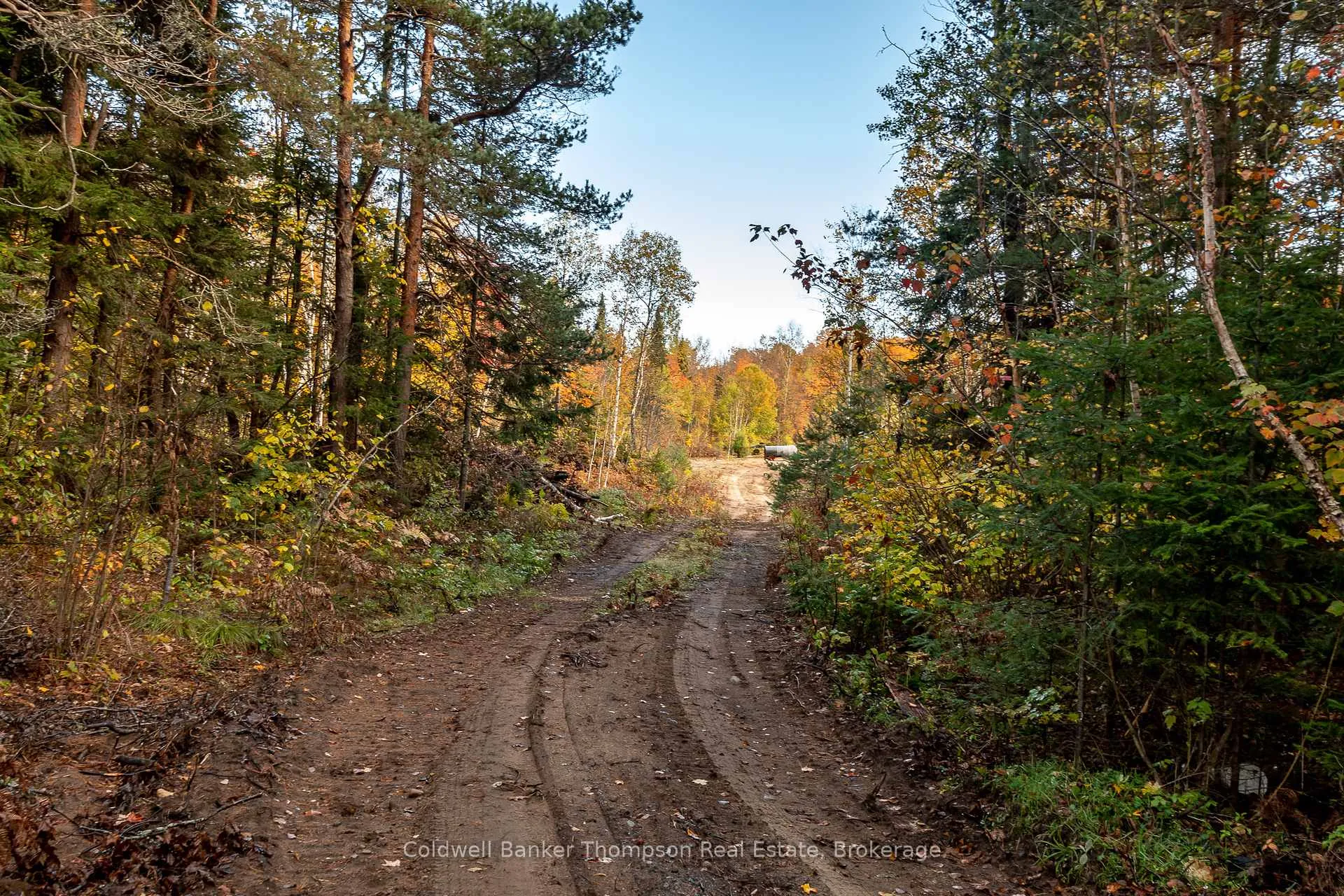 Photo 8 of Lot 1 Emsdale Lake Road, Perry — HOMEH