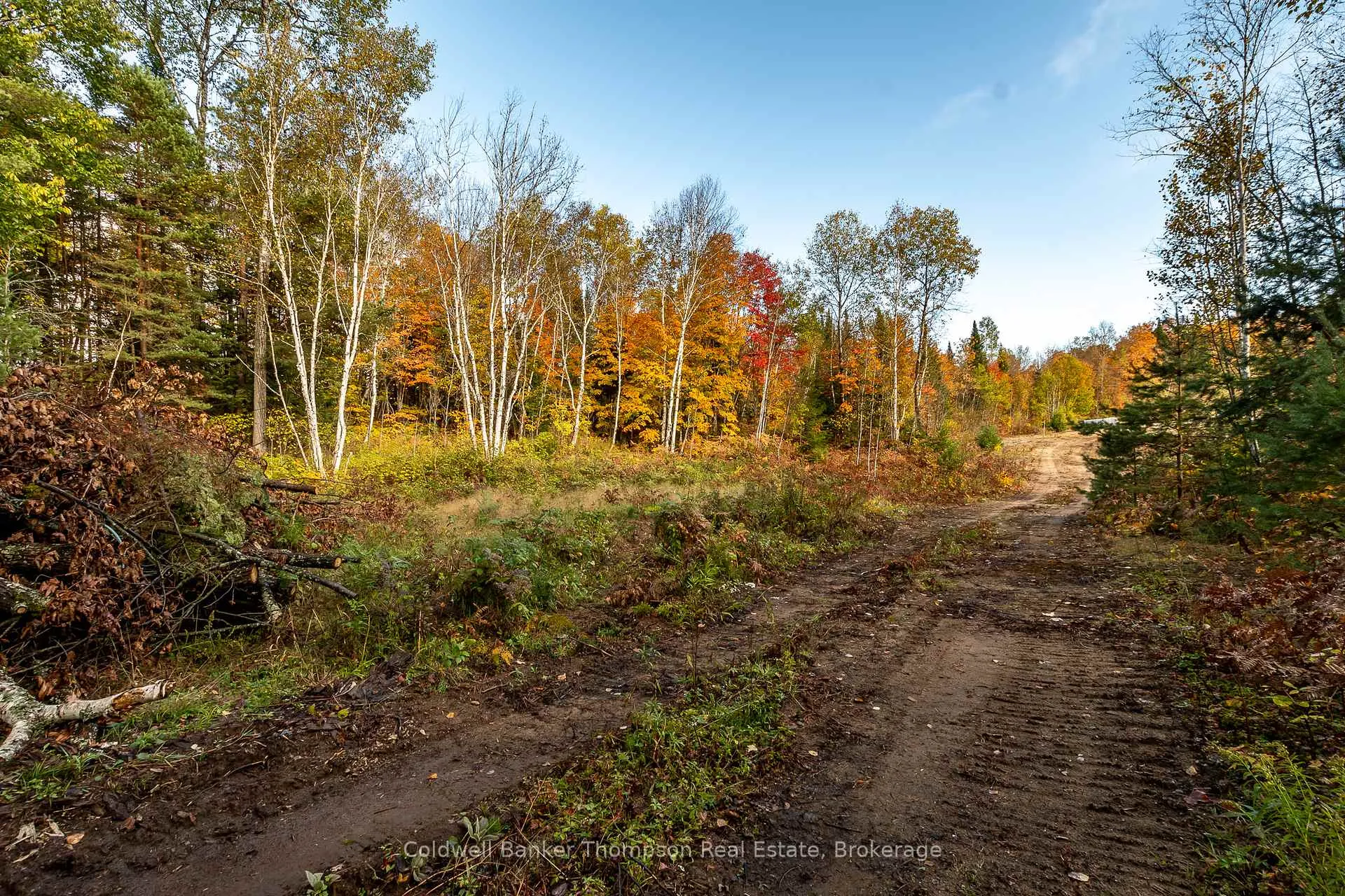 Photo 9 of Lot 1 Emsdale Lake Road, Perry — HOMEH