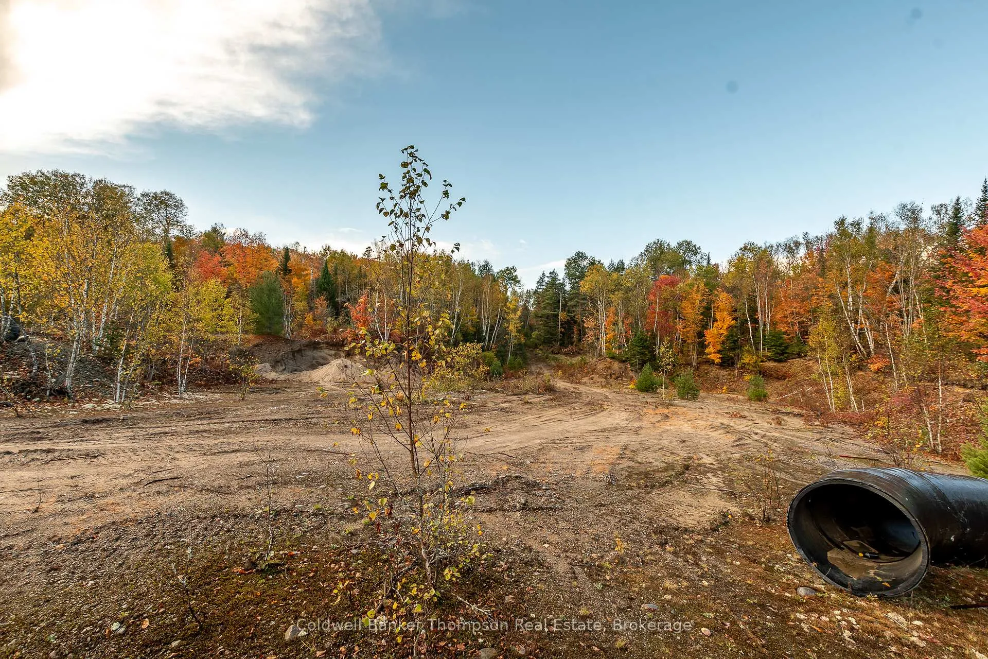 Photo 11 of Lot 1 Emsdale Lake Road, Perry — HOMEH