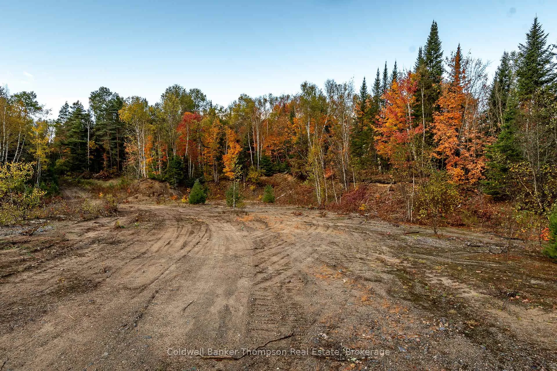 Photo 12 of Lot 1 Emsdale Lake Road, Perry — HOMEH