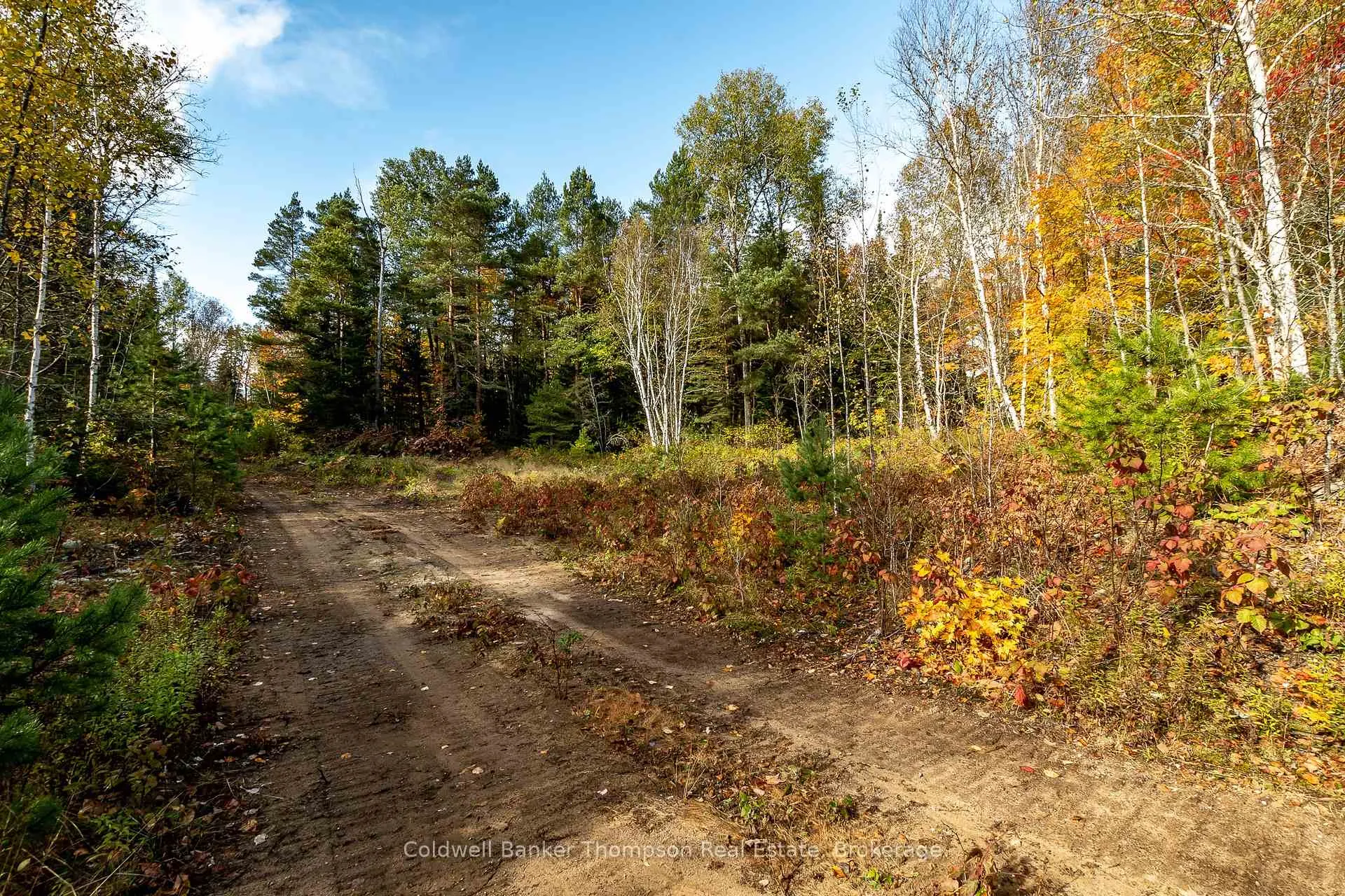 Photo 13 of Lot 1 Emsdale Lake Road, Perry — HOMEH