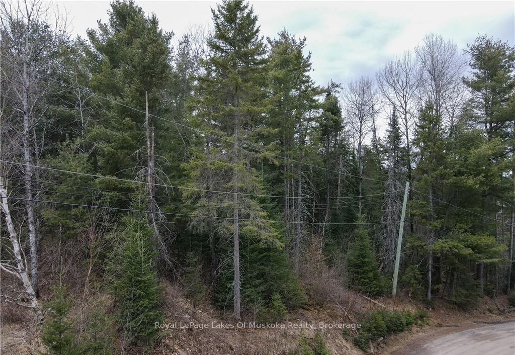 Photo 2 of 00 Old Muskoka Road, Perry, Emsdale — HOMEH