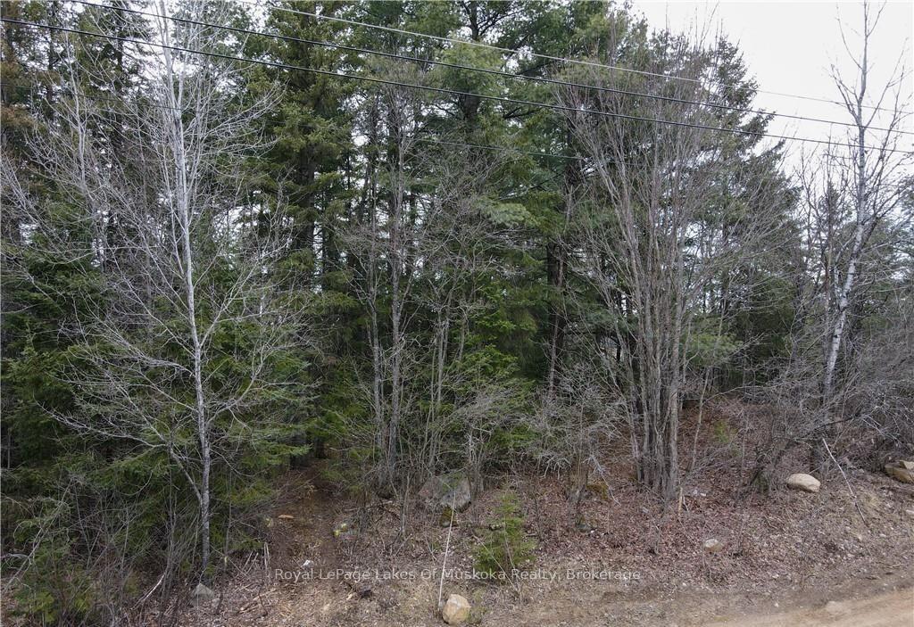 Photo 5 of 00 Old Muskoka Road, Perry, Emsdale — HOMEH