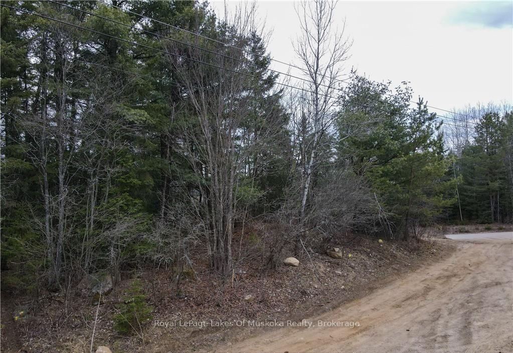 Photo 6 of 00 Old Muskoka Road, Perry, Emsdale — HOMEH