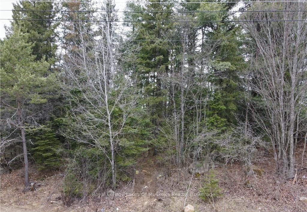 Photo 7 of 00 Old Muskoka Road, Perry, Emsdale — HOMEH