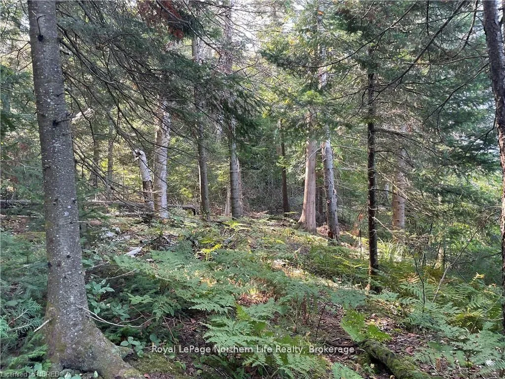 Photo 9 of 1945 Alsace Road, Nipissing — HOMEH