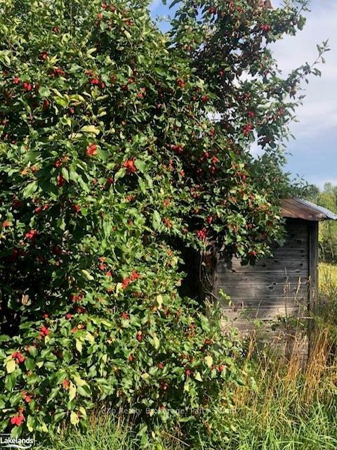 Photo 32 of 8 Old Mill Road, Parry Sound Remote Area, Arnstein — HOMEH
