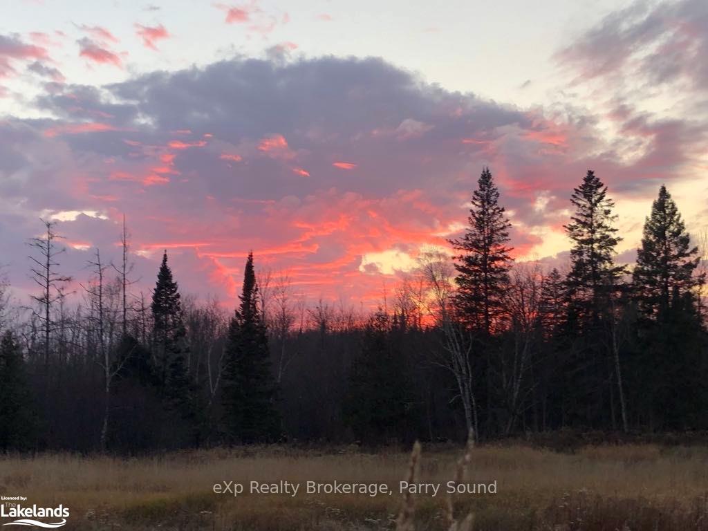 Photo 41 of 8 Old Mill Road, Parry Sound Remote Area, Arnstein — HOMEH