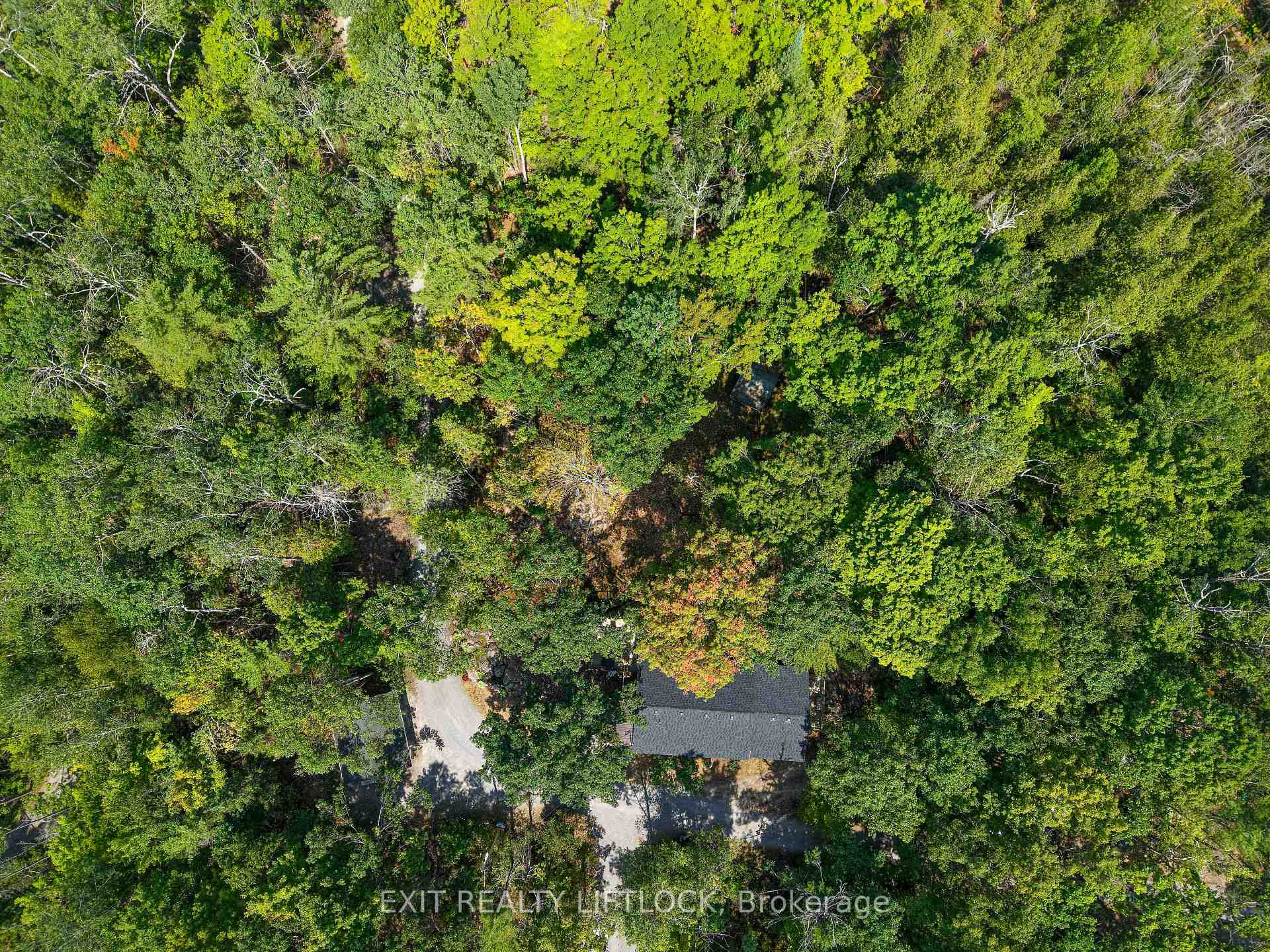 Photo 33 of 41 Fire Route 37, North Kawartha — HOMEH