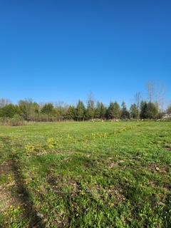 Front of N/A Diversion Road