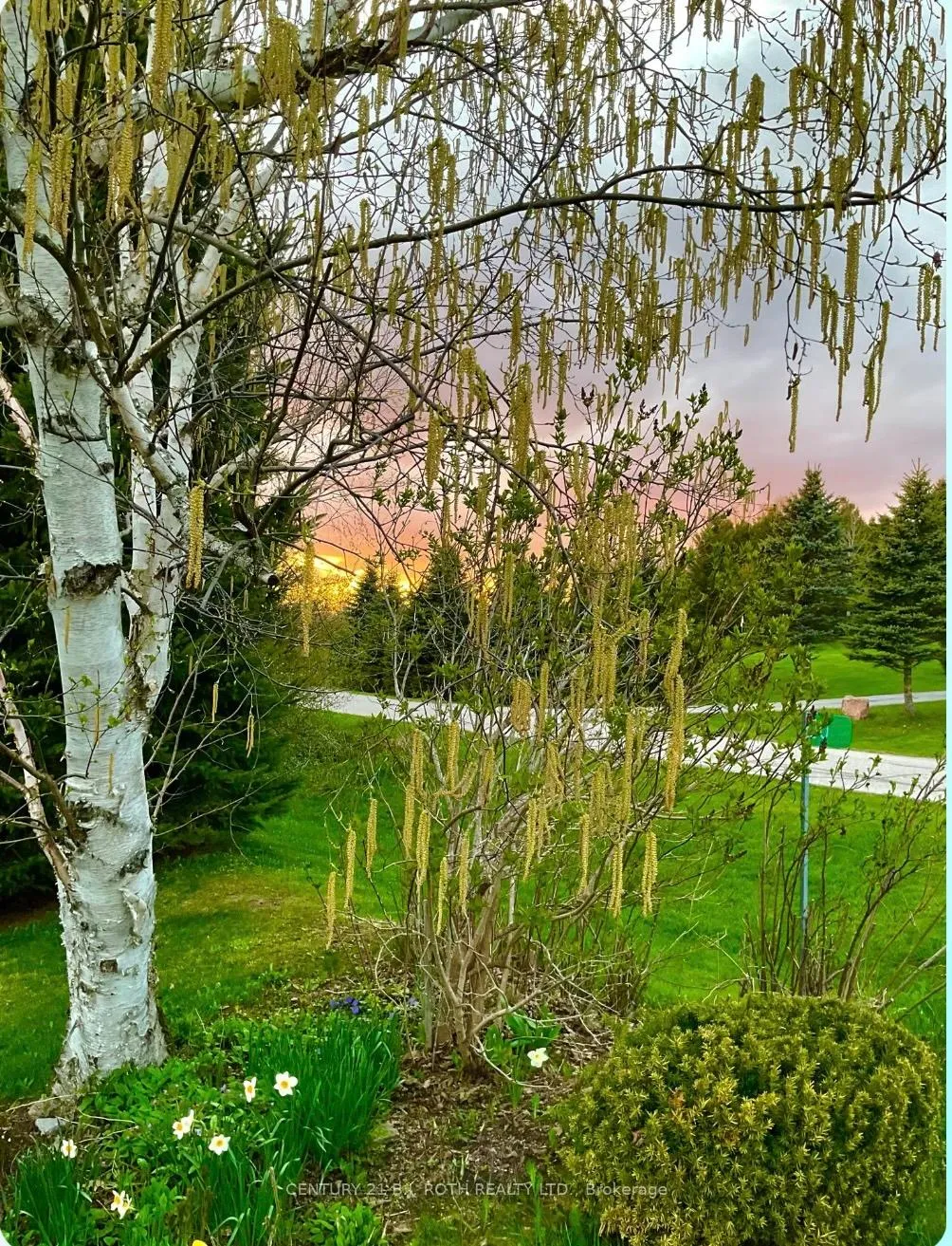 Photo 44 of 30 Tecumseth Heights Drive, New Tecumseth, Rural New Tecumseth — HOMEH