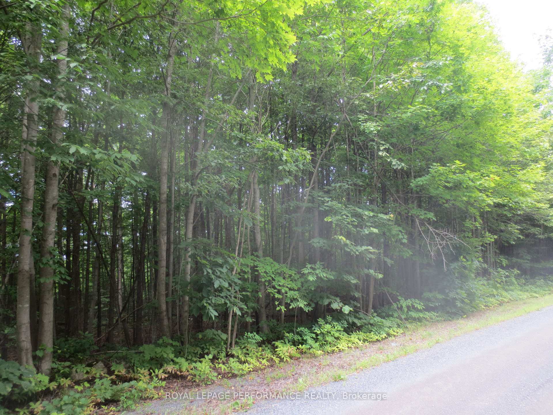Photo 13 of 21625 Concession Rd 10, North Glengarry, North Glengarry (Lochiel) Twp — HOMEH