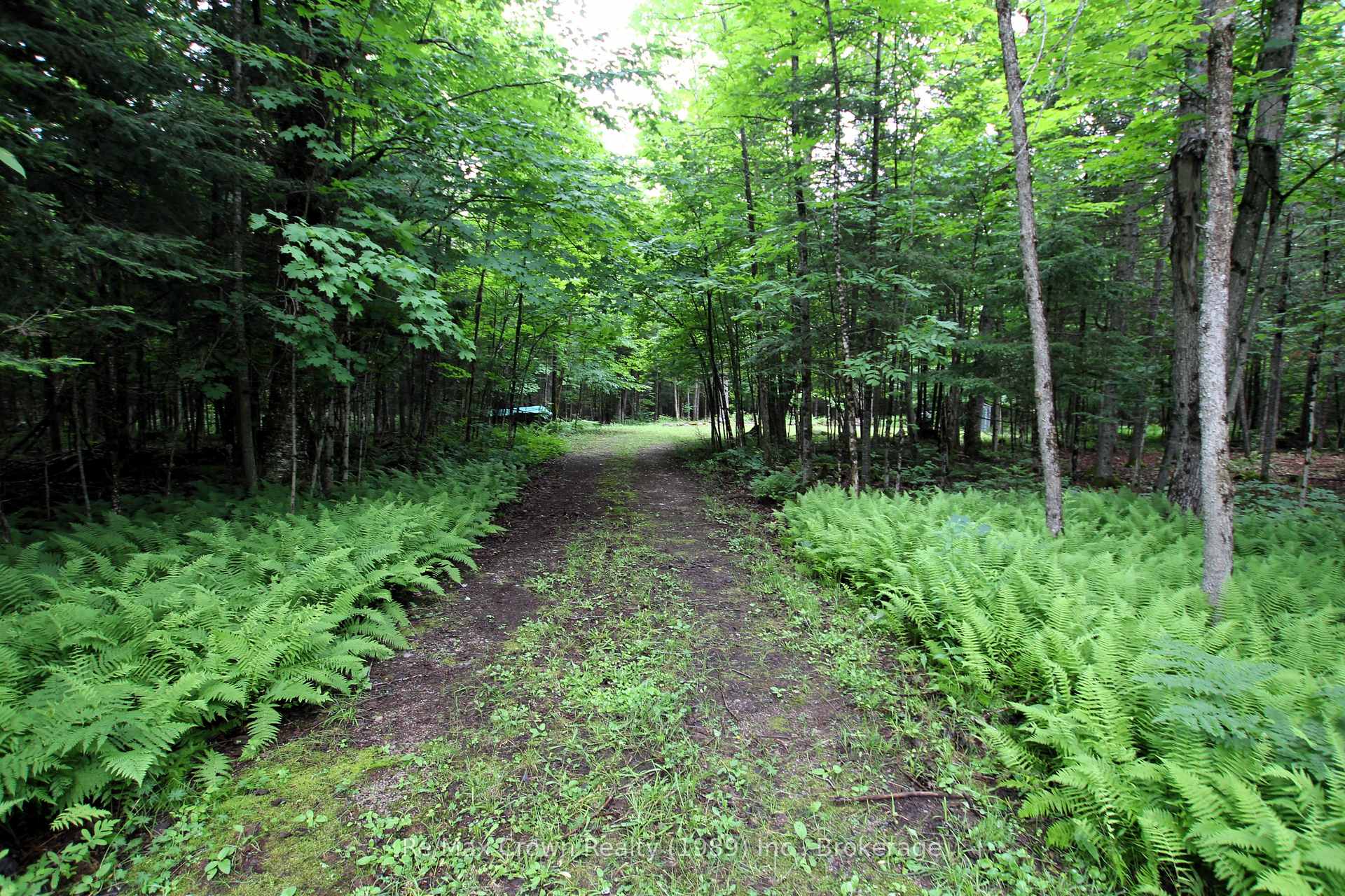 Photo 1 of Pilgers Road, Nipissing — HOMEH
