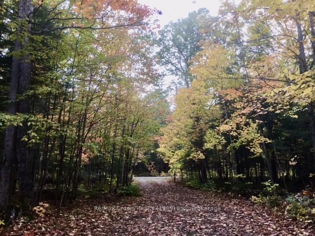 Photo 9 of Pilgers Road, Nipissing — HOMEH