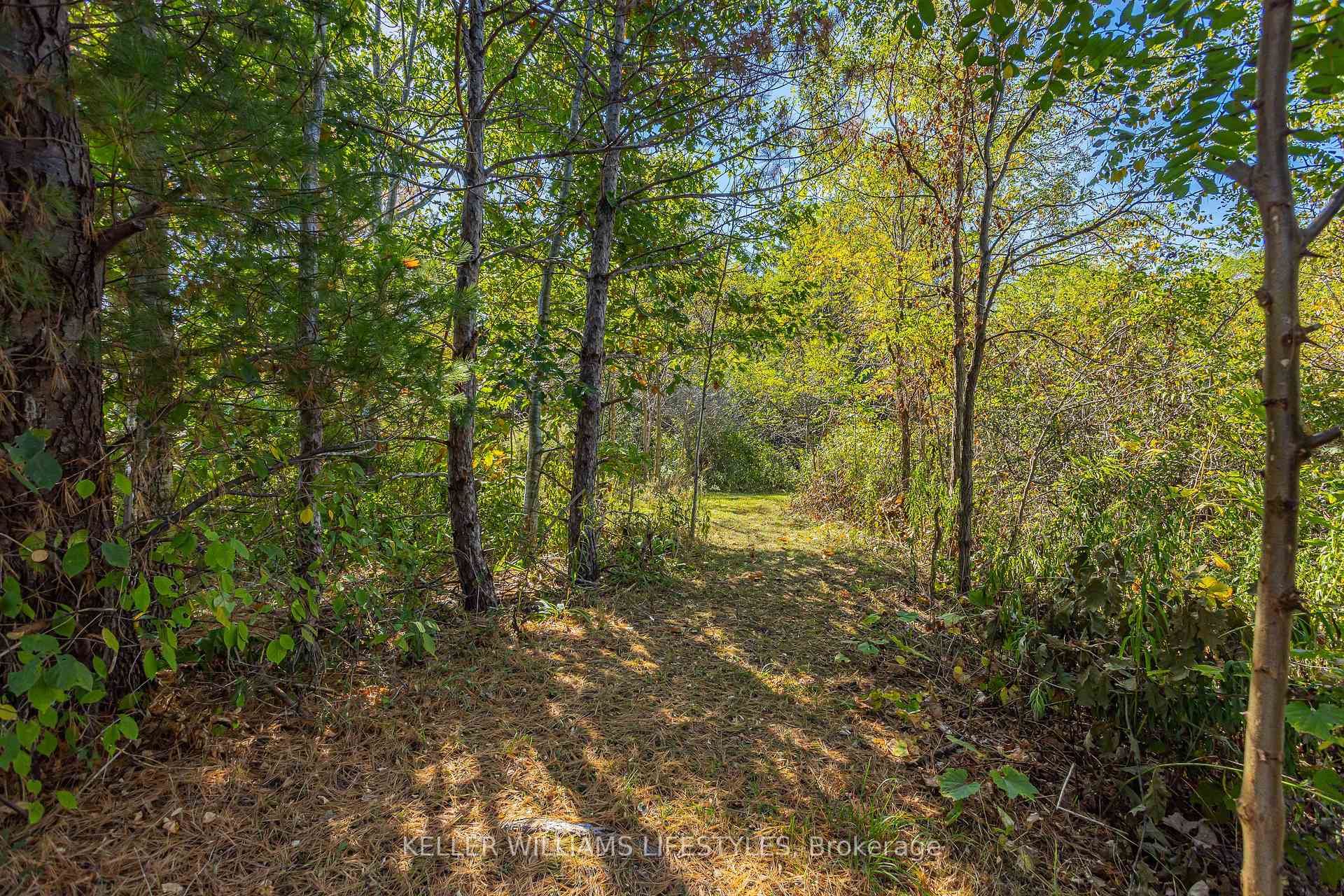Photo 37 of 4723 Ausable Drive, North Middlesex, Rural North Middlesex — HOMEH