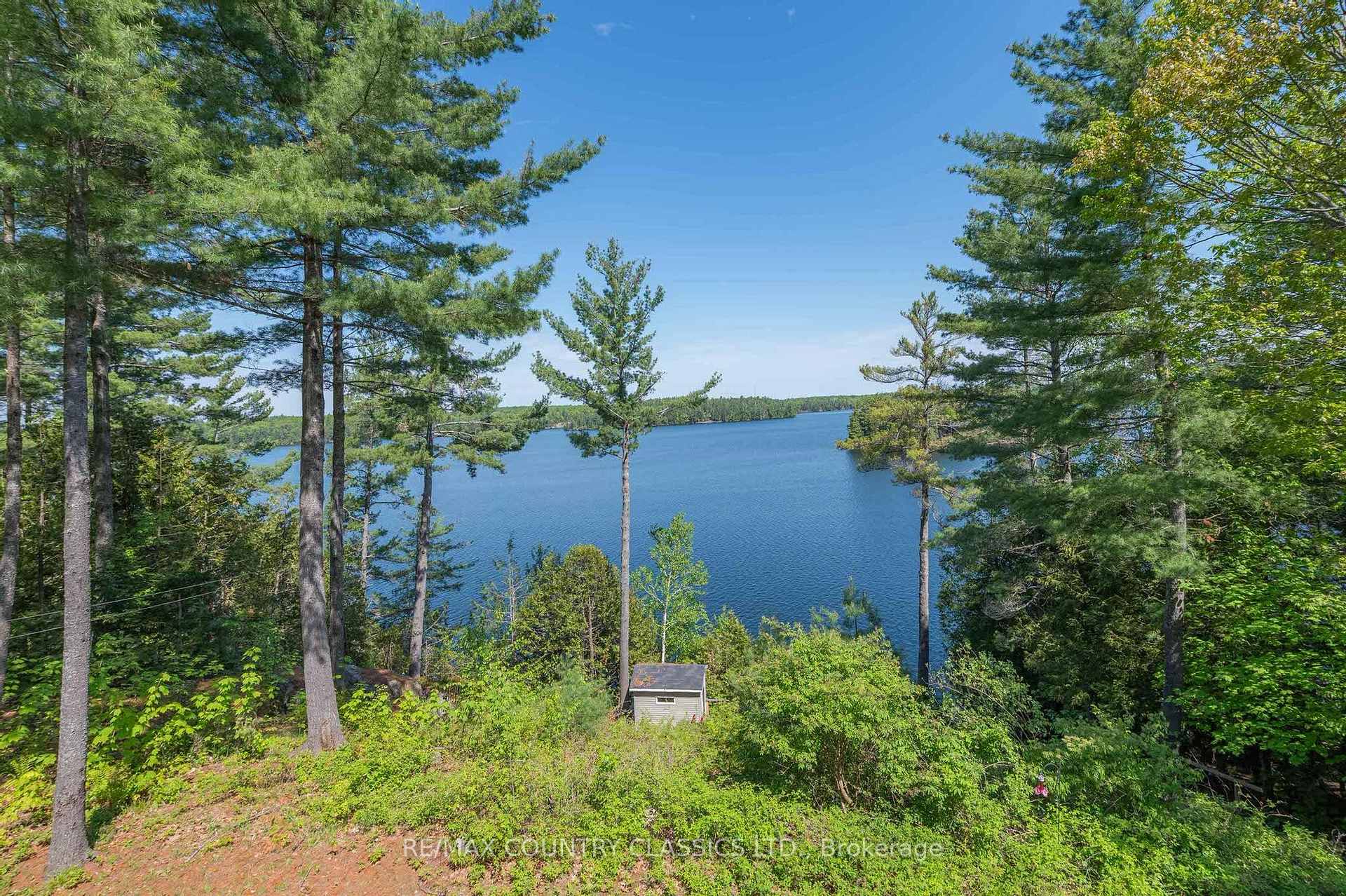Photo 6 of 782 Standish Lane, North Kawartha — HOMEH