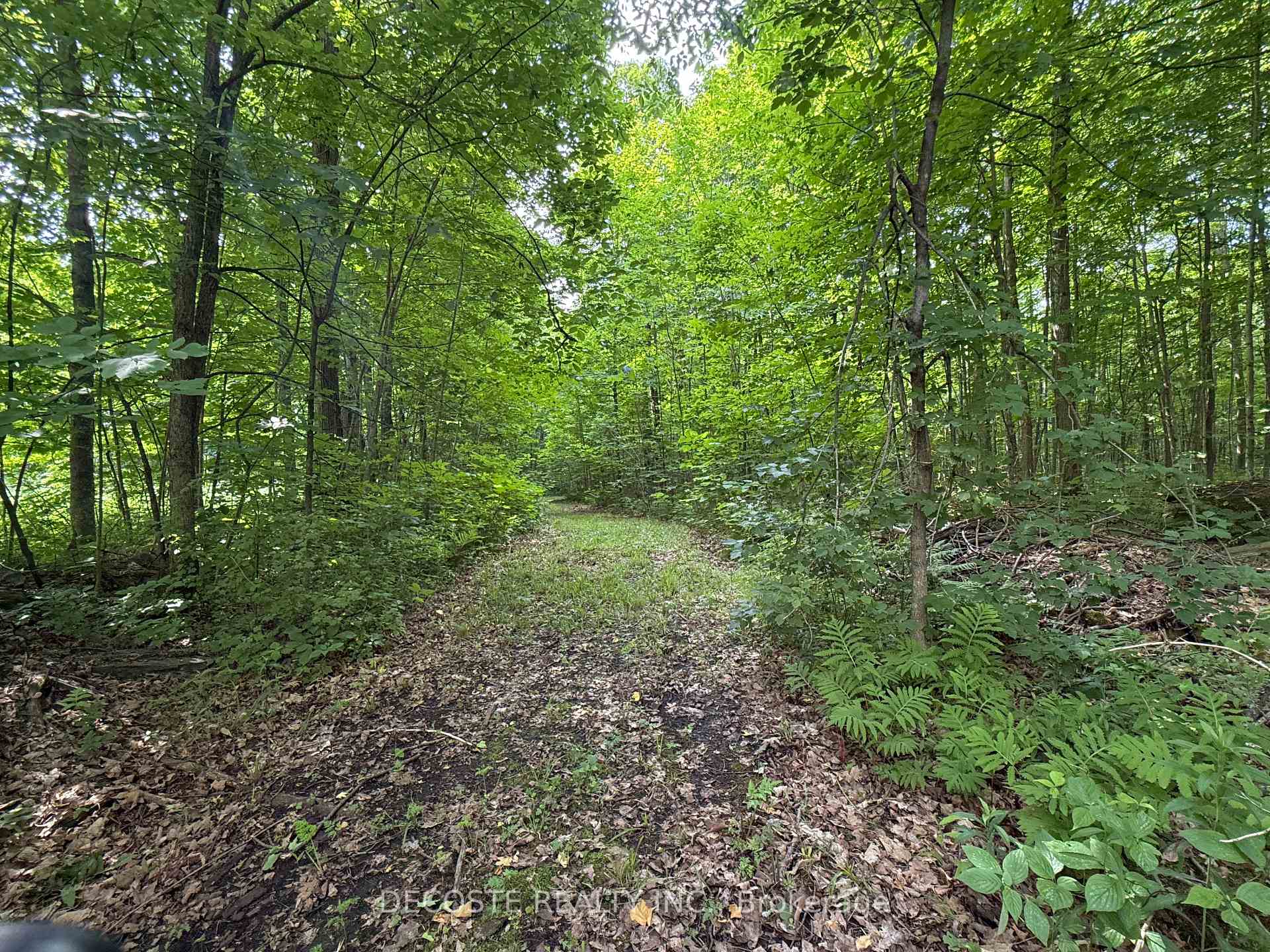Photo 32 of 2654 County 30 Road, North Glengarry, North Glengarry (Kenyon) Twp — HOMEH