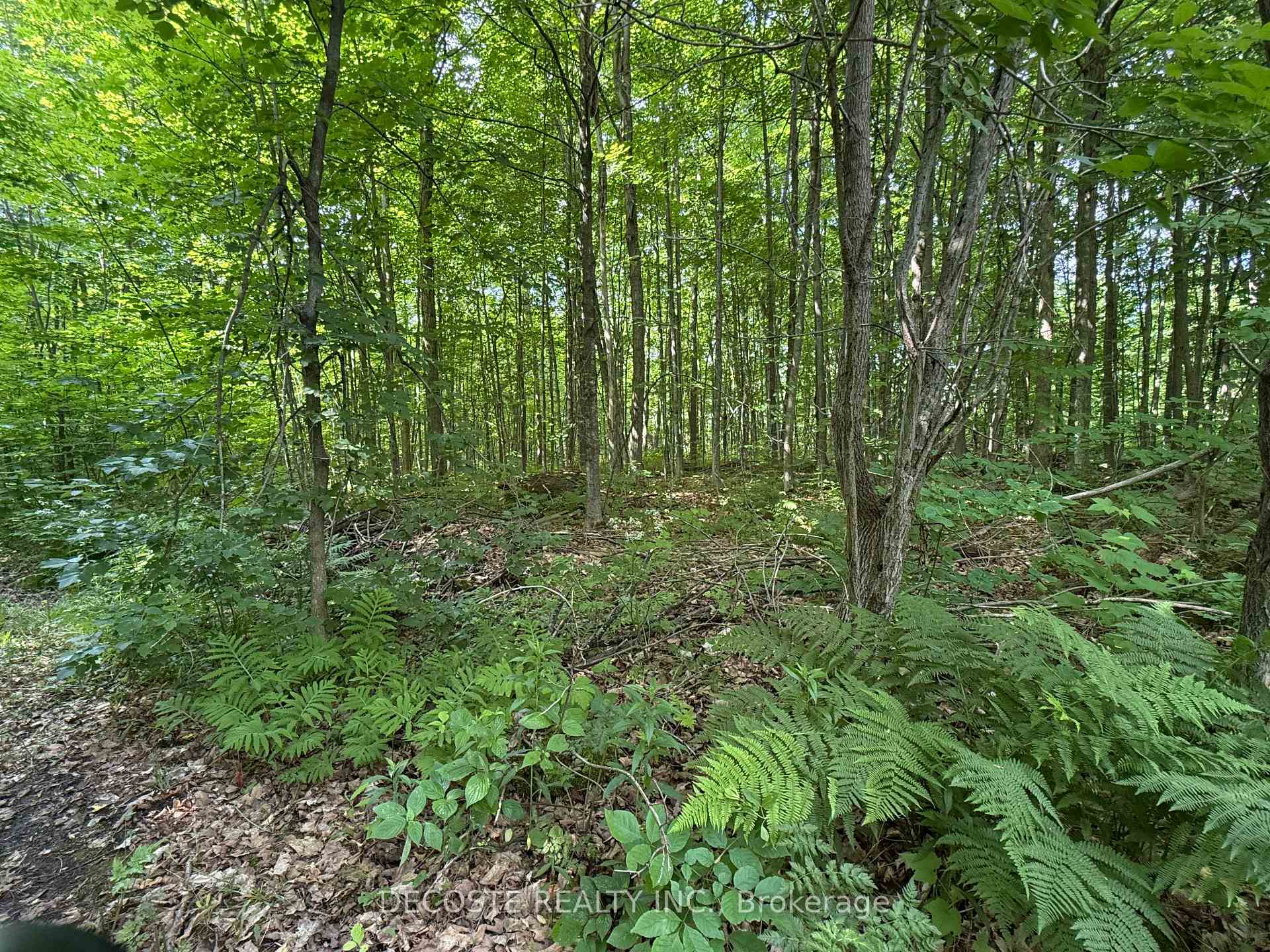 Photo 33 of 2654 County 30 Road, North Glengarry, North Glengarry (Kenyon) Twp — HOMEH