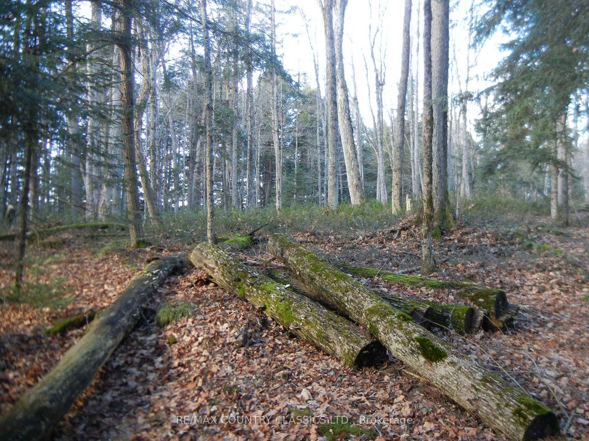 Photo 1 of Knox Point Road, North Kawartha — HOMEH