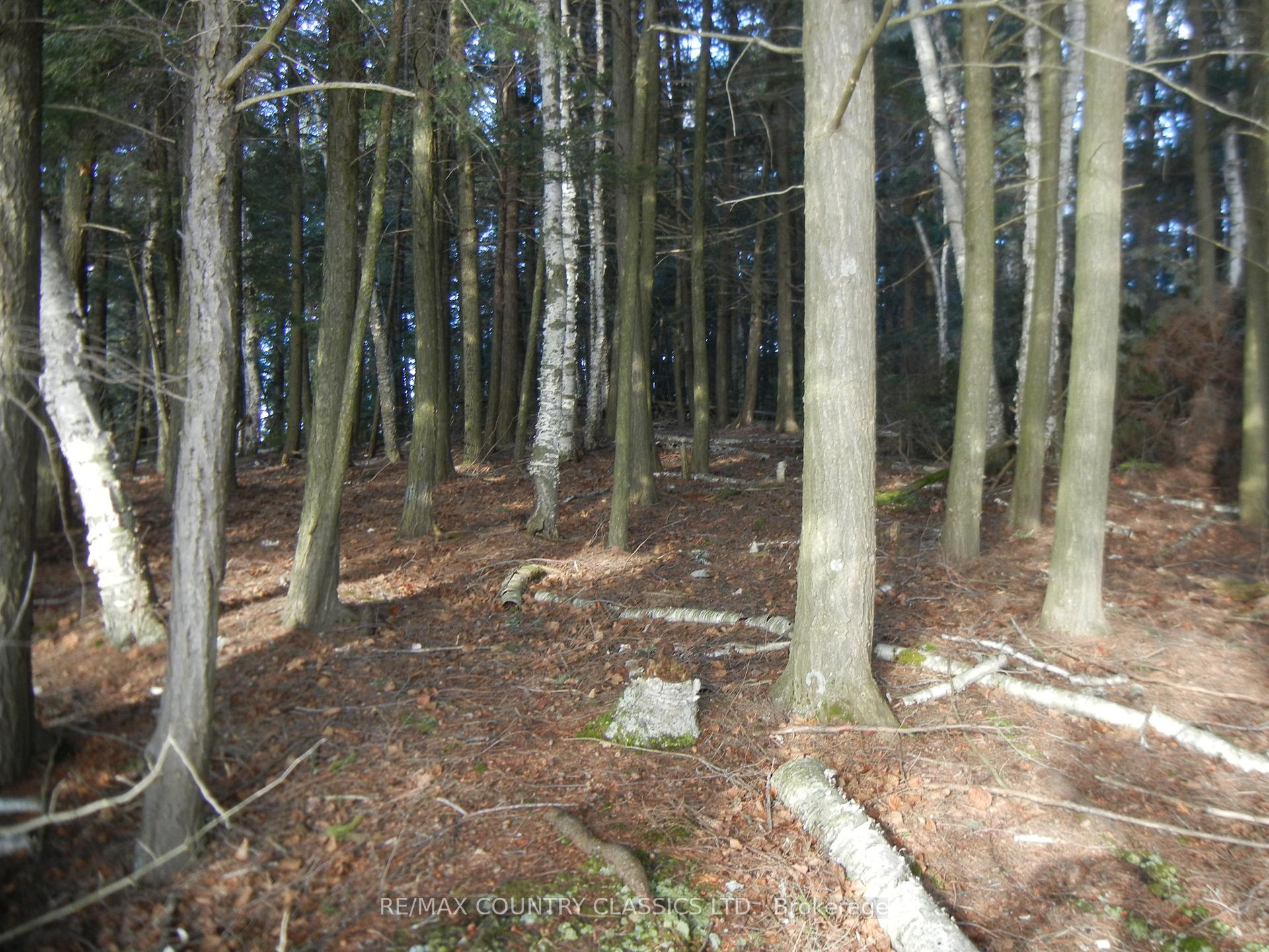 Photo 2 of Knox Point Road, North Kawartha — HOMEH