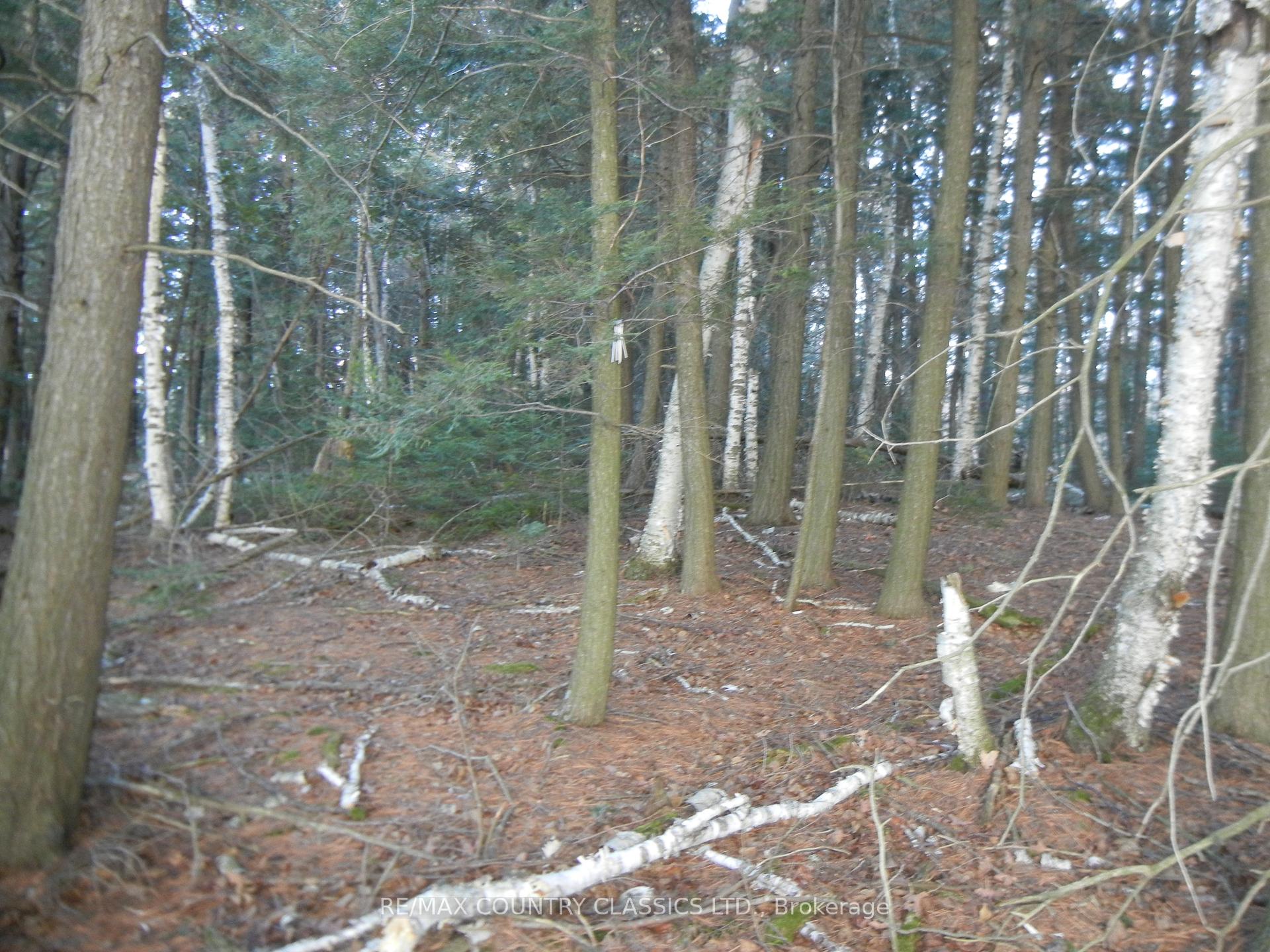 Photo 3 of Knox Point Road, North Kawartha — HOMEH