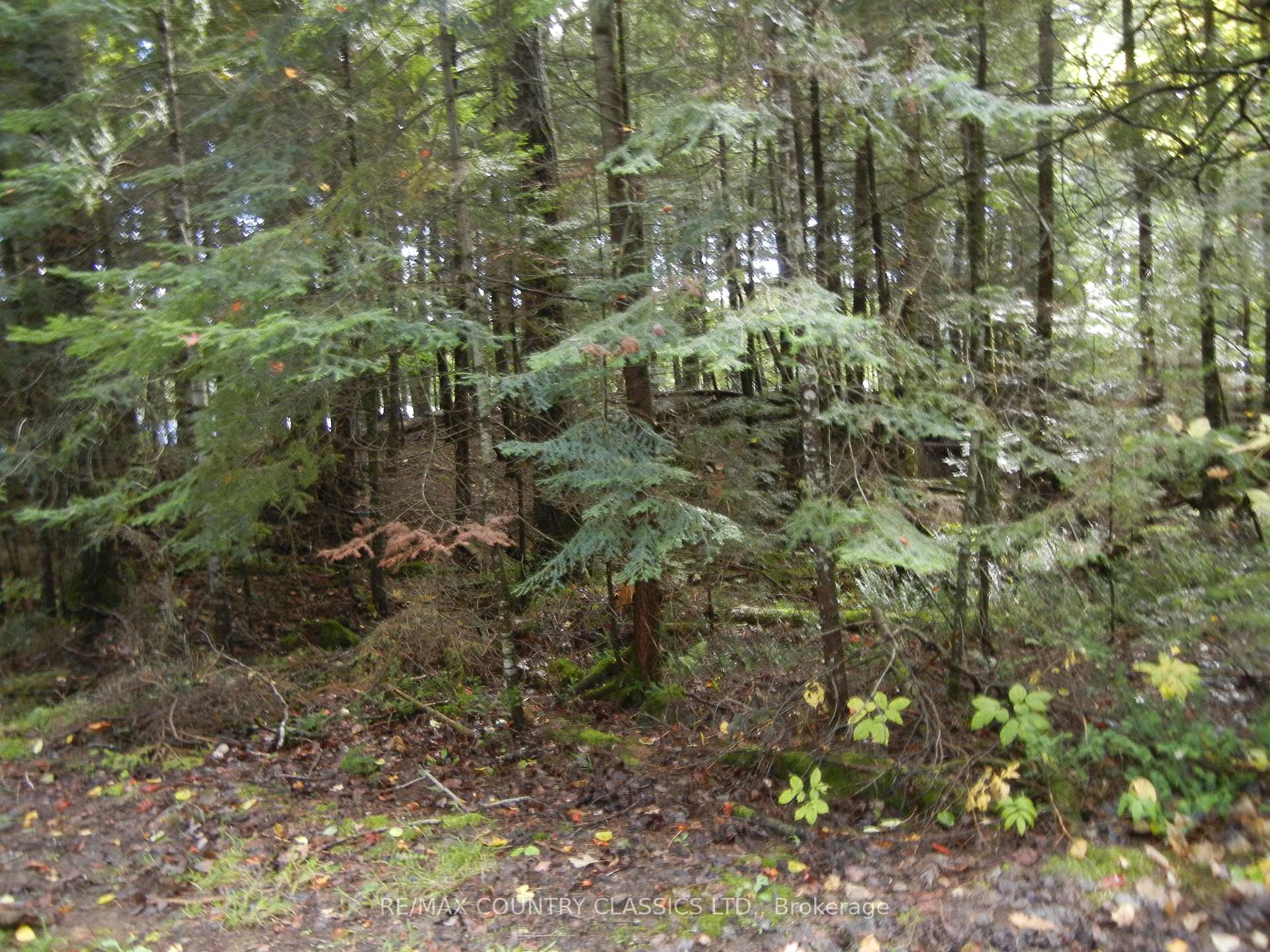 Photo 4 of Knox Point Road, North Kawartha — HOMEH