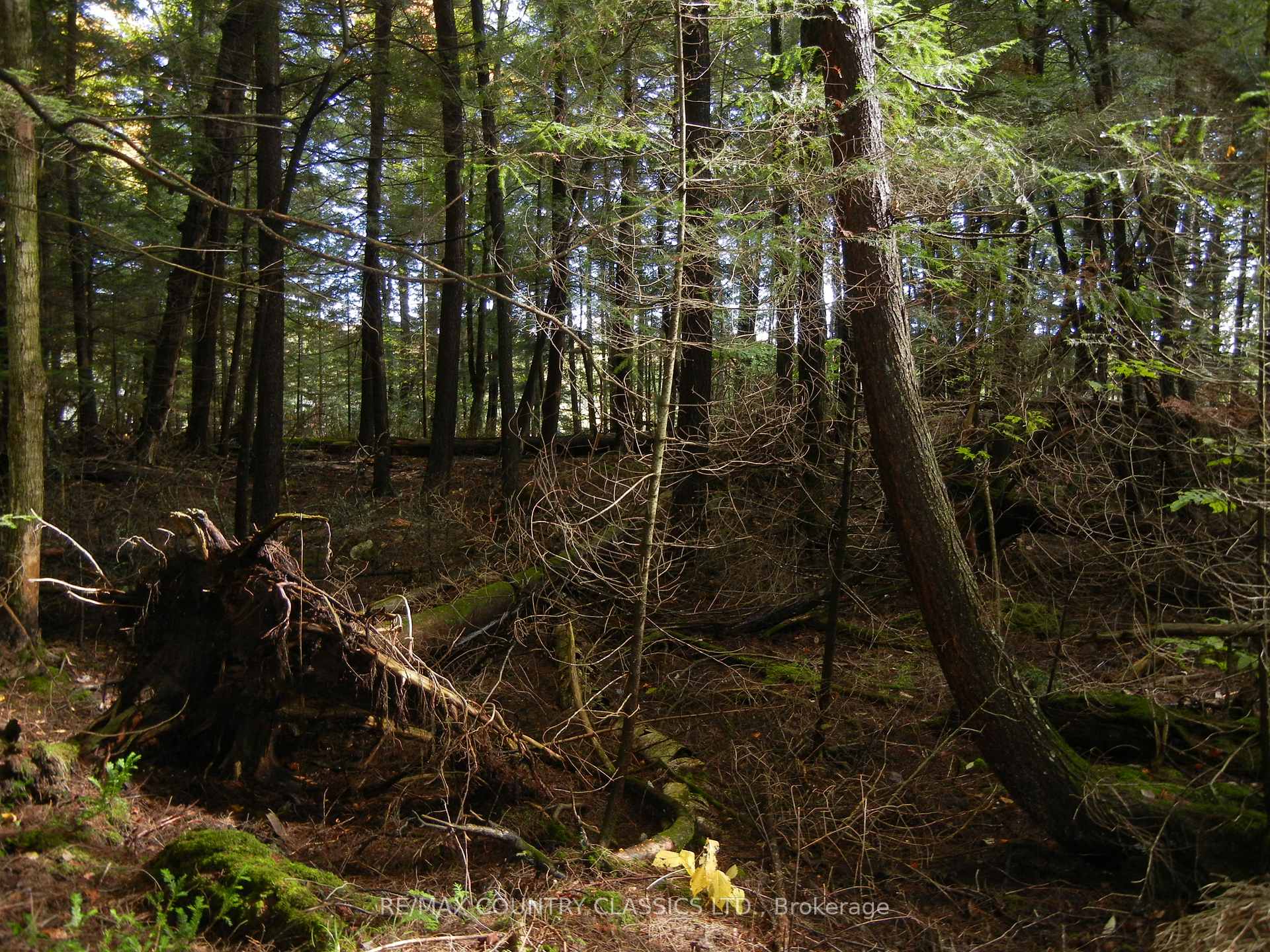 Photo 5 of Knox Point Road, North Kawartha — HOMEH