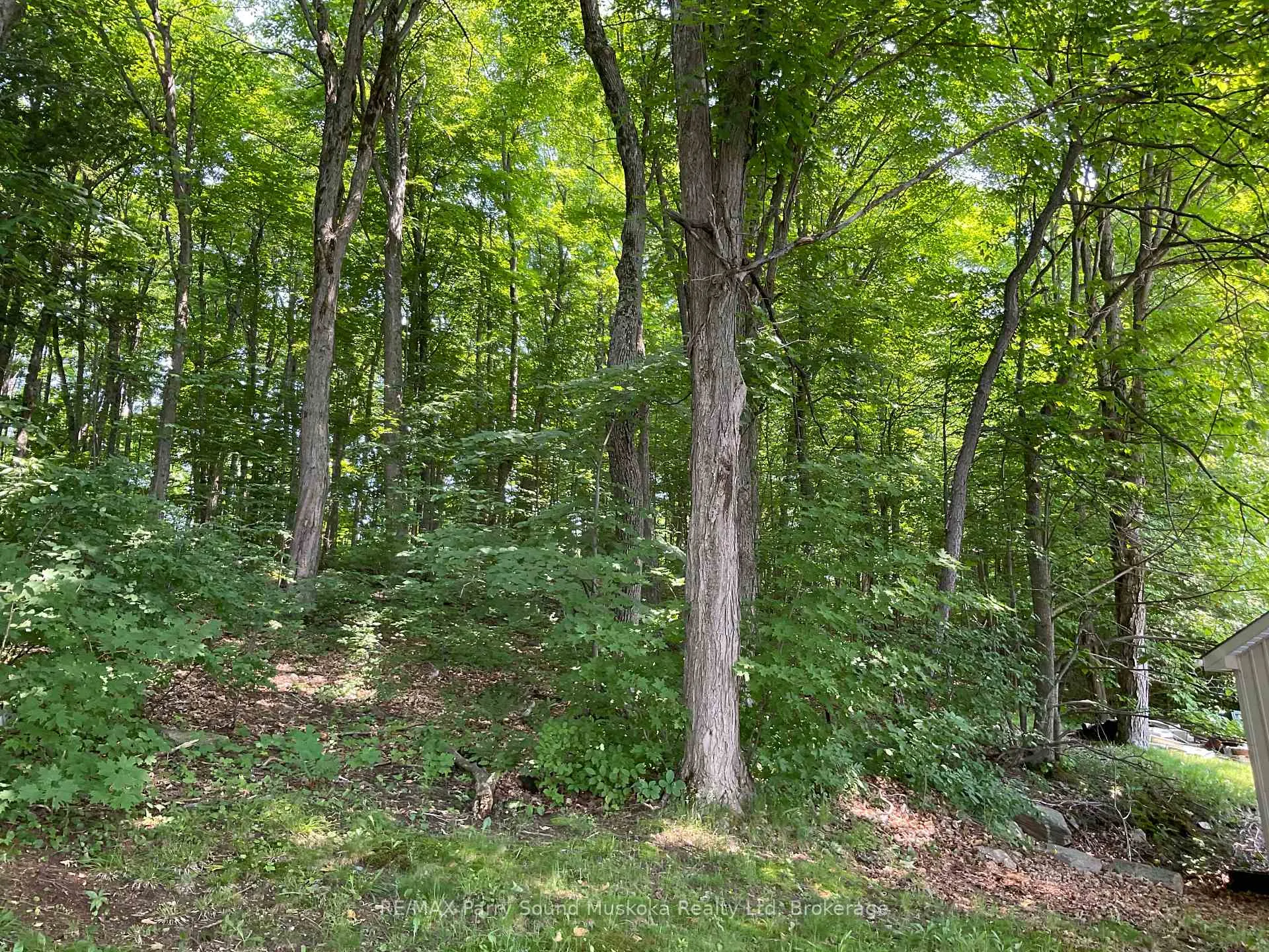 Photo 23 of 185 Wilson, Parry Sound Remote Area, Wilson — HOMEH