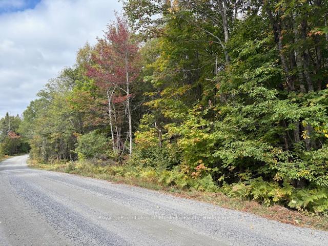 Photo 1 of Boundary Road, Parry Sound Remote Area, Lount — HOMEH