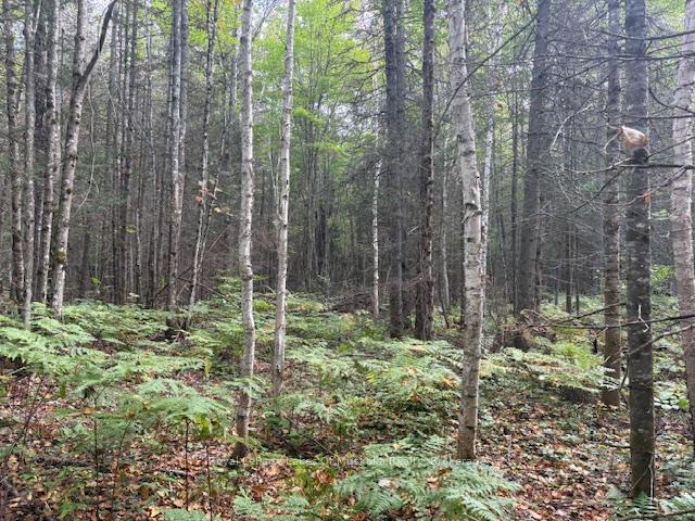 Photo 2 of Boundary Road, Parry Sound Remote Area, Lount — HOMEH