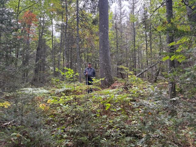 Photo 10 of Boundary Road, Parry Sound Remote Area, Lount — HOMEH