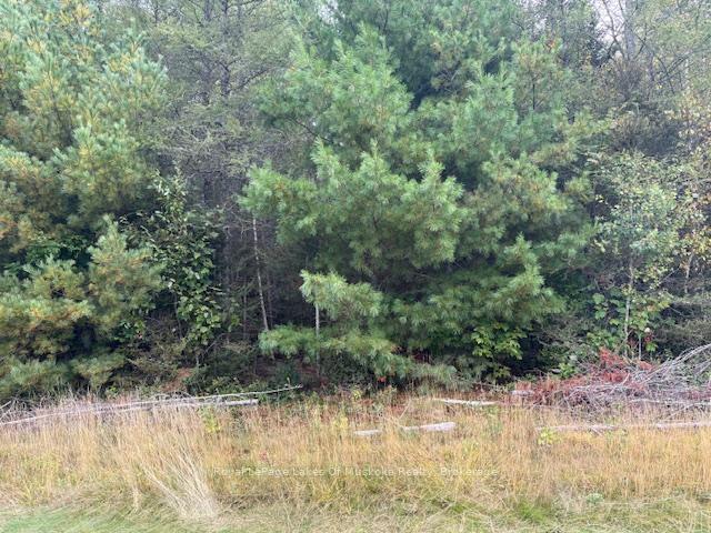 Photo 12 of Boundary Road, Parry Sound Remote Area, Lount — HOMEH