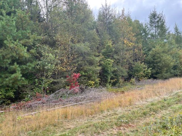 Photo 13 of Boundary Road, Parry Sound Remote Area, Lount — HOMEH