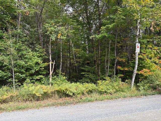Photo 14 of Boundary Road, Parry Sound Remote Area, Lount — HOMEH