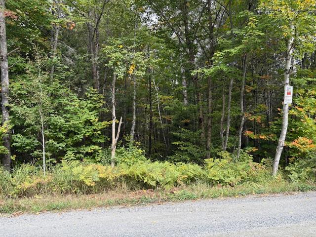 Photo 15 of Boundary Road, Parry Sound Remote Area, Lount — HOMEH