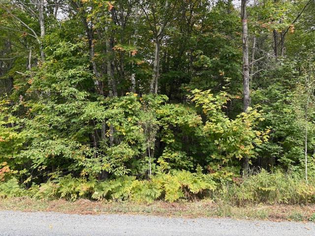 Photo 16 of Boundary Road, Parry Sound Remote Area, Lount — HOMEH