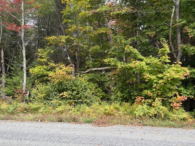 Photo 17 of Boundary Road, Parry Sound Remote Area, Lount — HOMEH