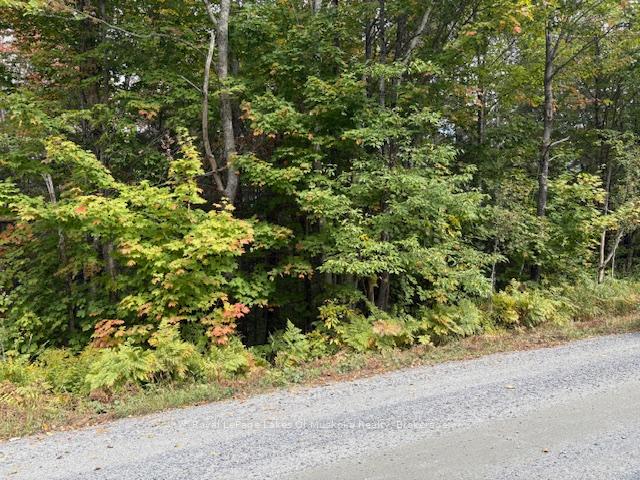 Photo 18 of Boundary Road, Parry Sound Remote Area, Lount — HOMEH