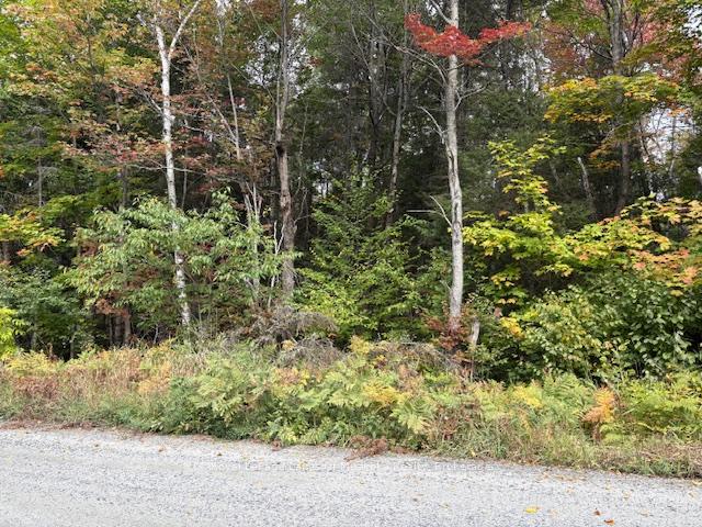 Photo 19 of Boundary Road, Parry Sound Remote Area, Lount — HOMEH