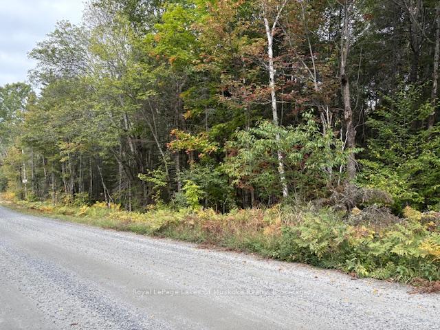 Photo 20 of Boundary Road, Parry Sound Remote Area, Lount — HOMEH