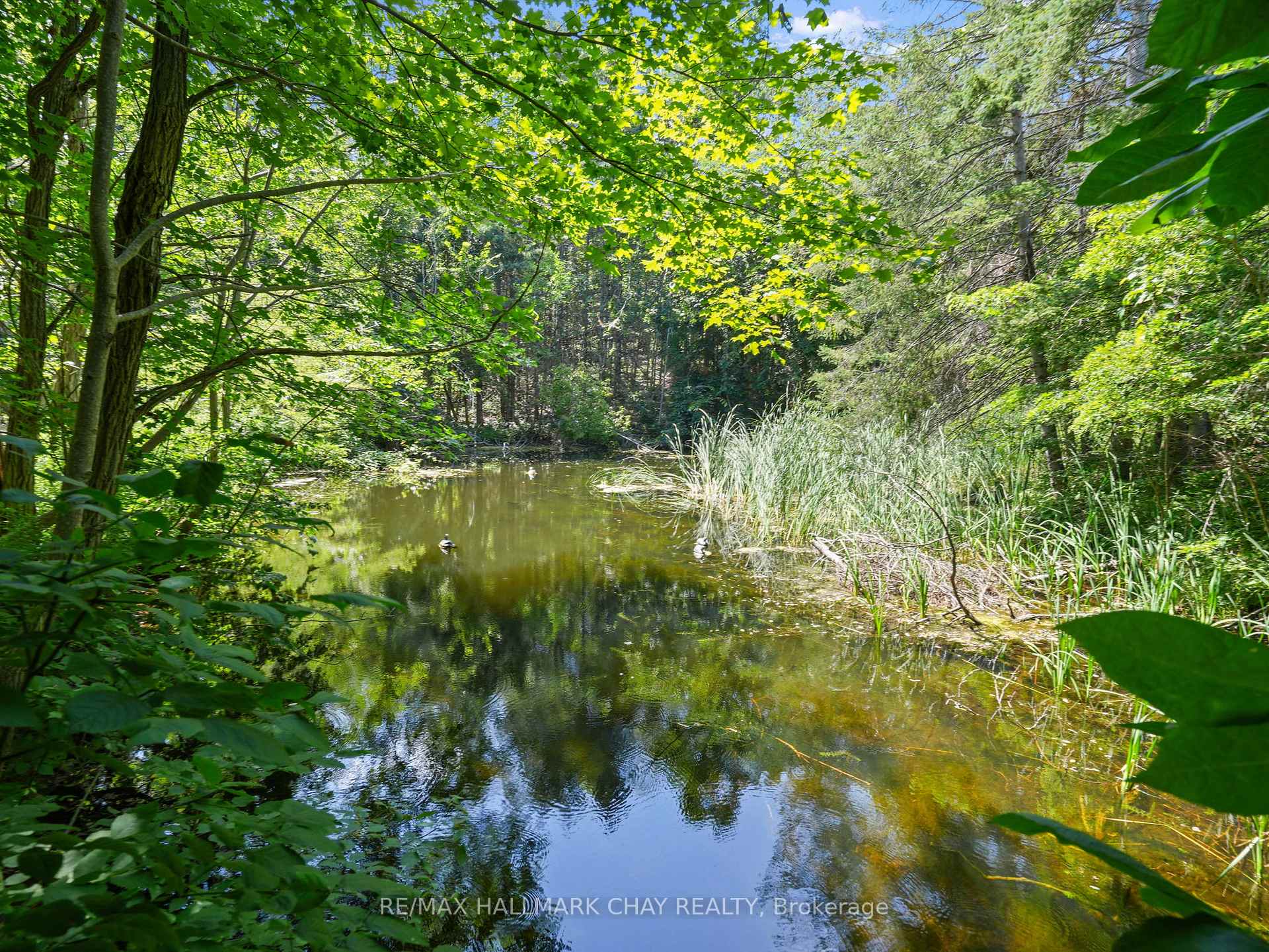 Photo 44 of 707412 County Rd 21, Mulmur, Rural Mulmur — HOMEH