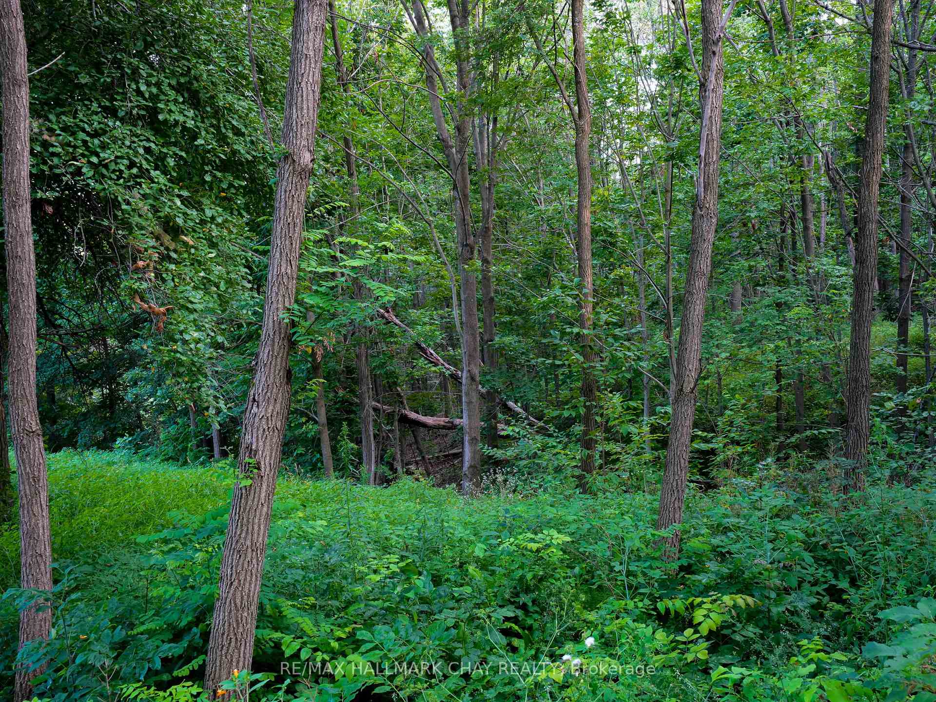 Photo 45 of 707412 County Rd 21, Mulmur, Rural Mulmur — HOMEH