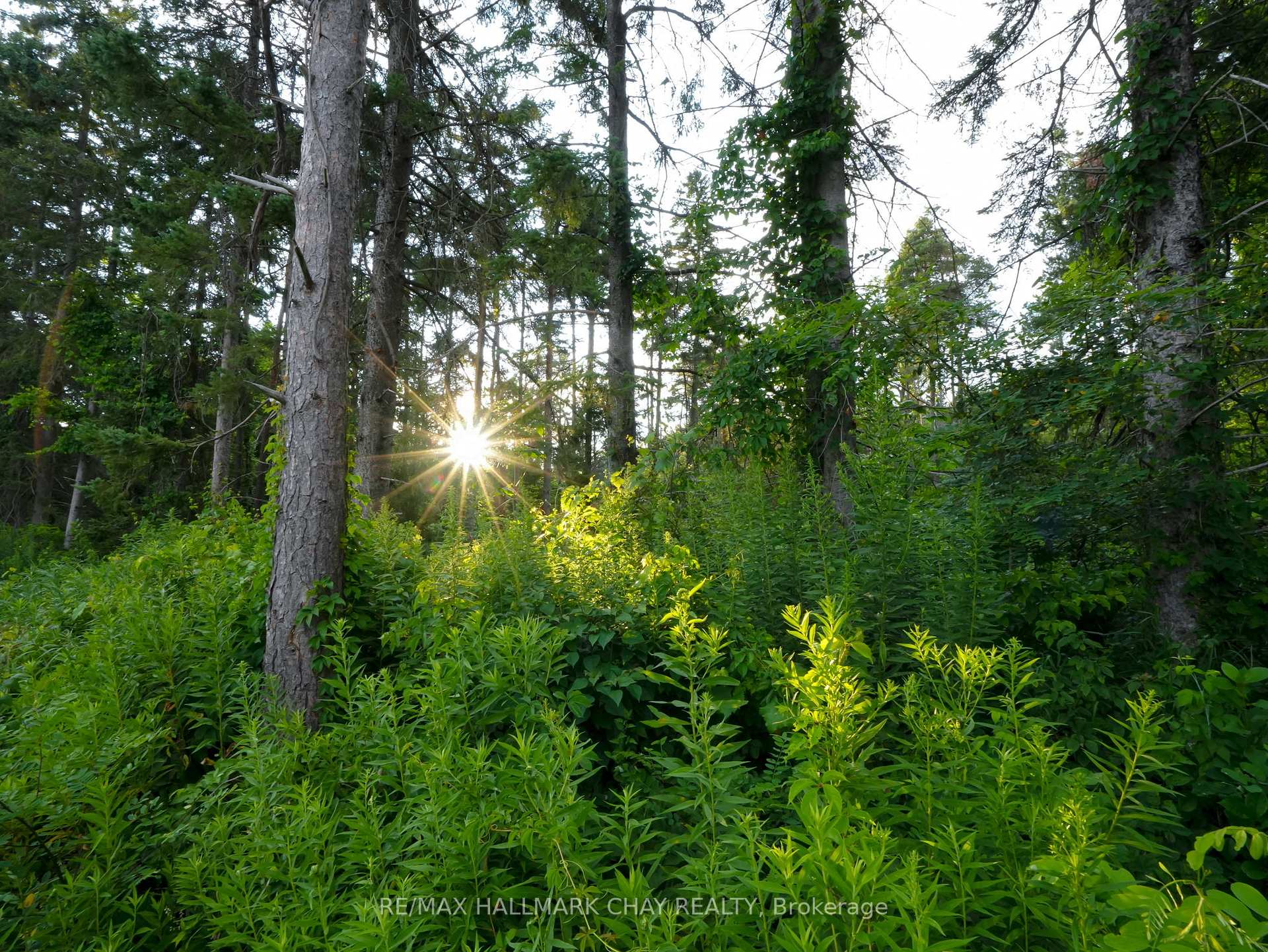 Photo 46 of 707412 County Rd 21, Mulmur, Rural Mulmur — HOMEH