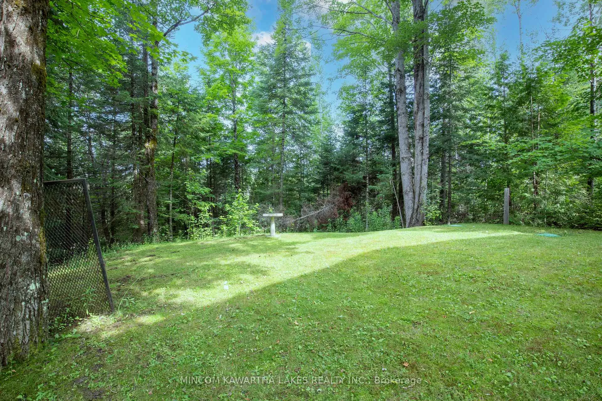 Photo 45 of 1662 County Rd 504, North Kawartha — HOMEH