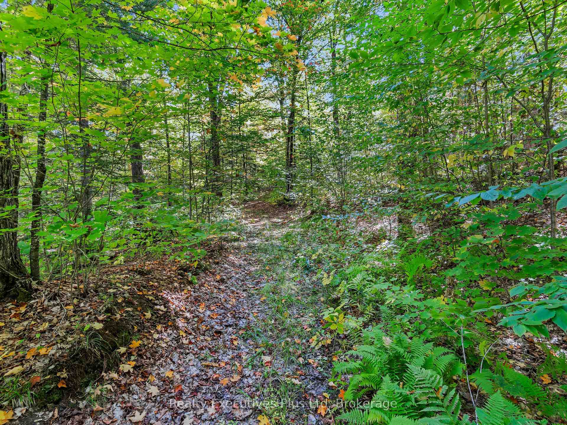 Photo 40 of 353 Mcfadden Line, Parry Sound Remote Area, Laurier — HOMEH