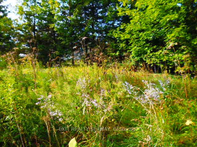 Photo 1 of Dalkeith Road, North Glengarry, North Glengarry (Lochiel) Twp — HOMEH