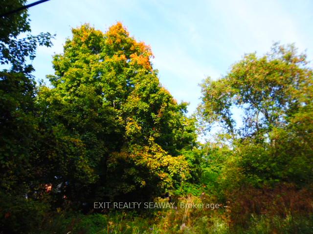 Photo 3 of Dalkeith Road, North Glengarry, North Glengarry (Lochiel) Twp — HOMEH