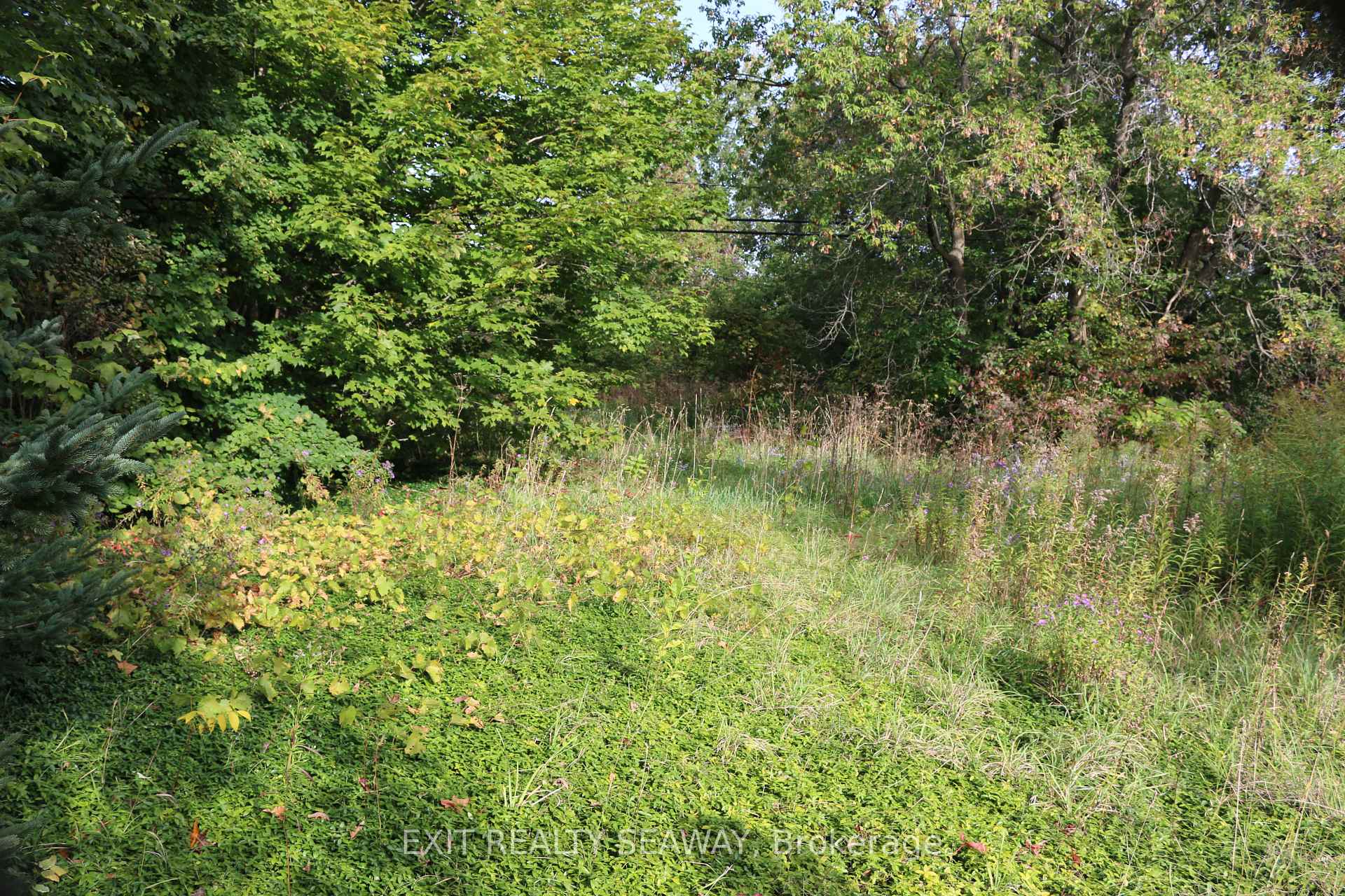 Photo 5 of Dalkeith Road, North Glengarry, North Glengarry (Lochiel) Twp — HOMEH