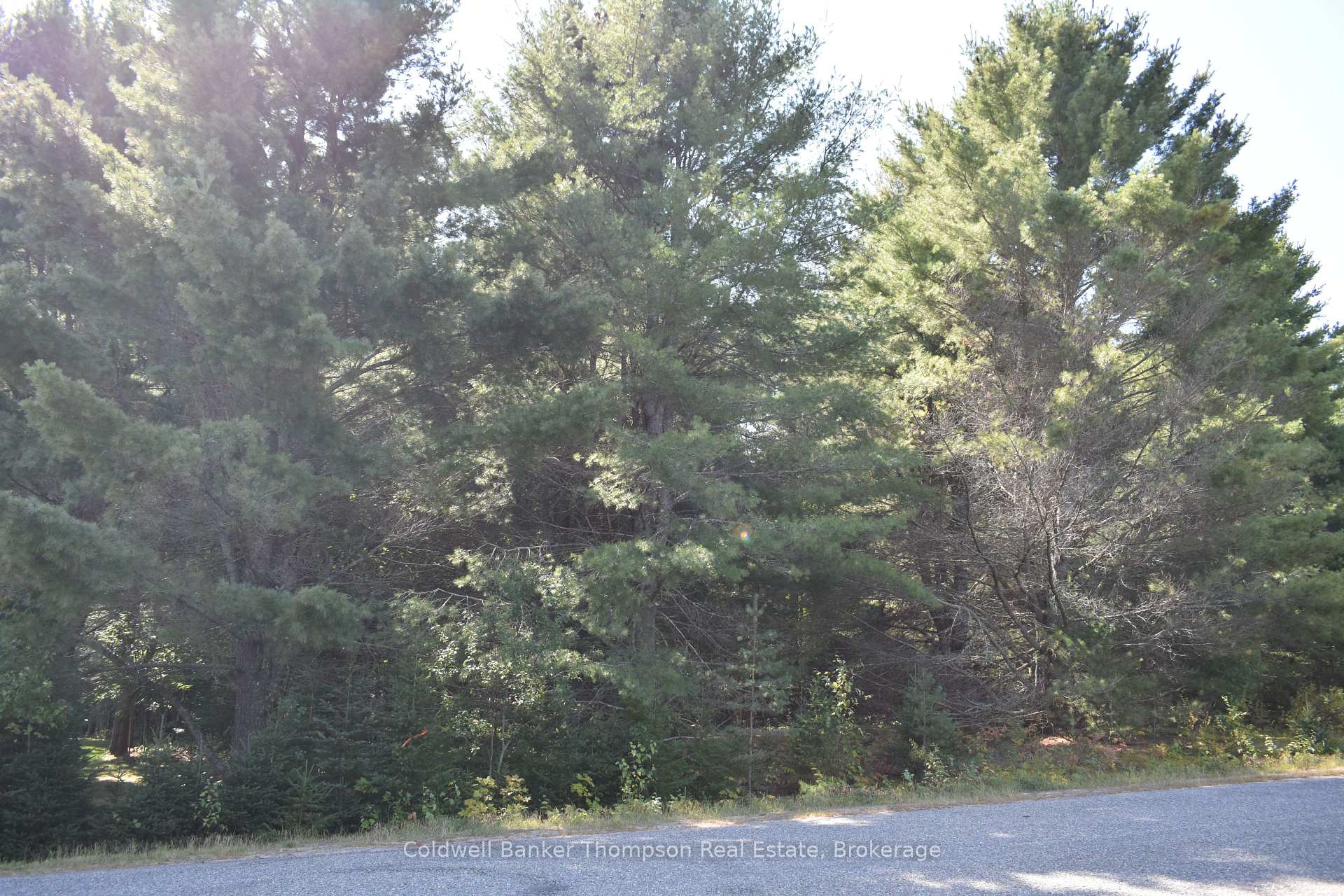 Photo 3 of Lot 9 Centurion Crescent, Perry, Novar — HOMEH