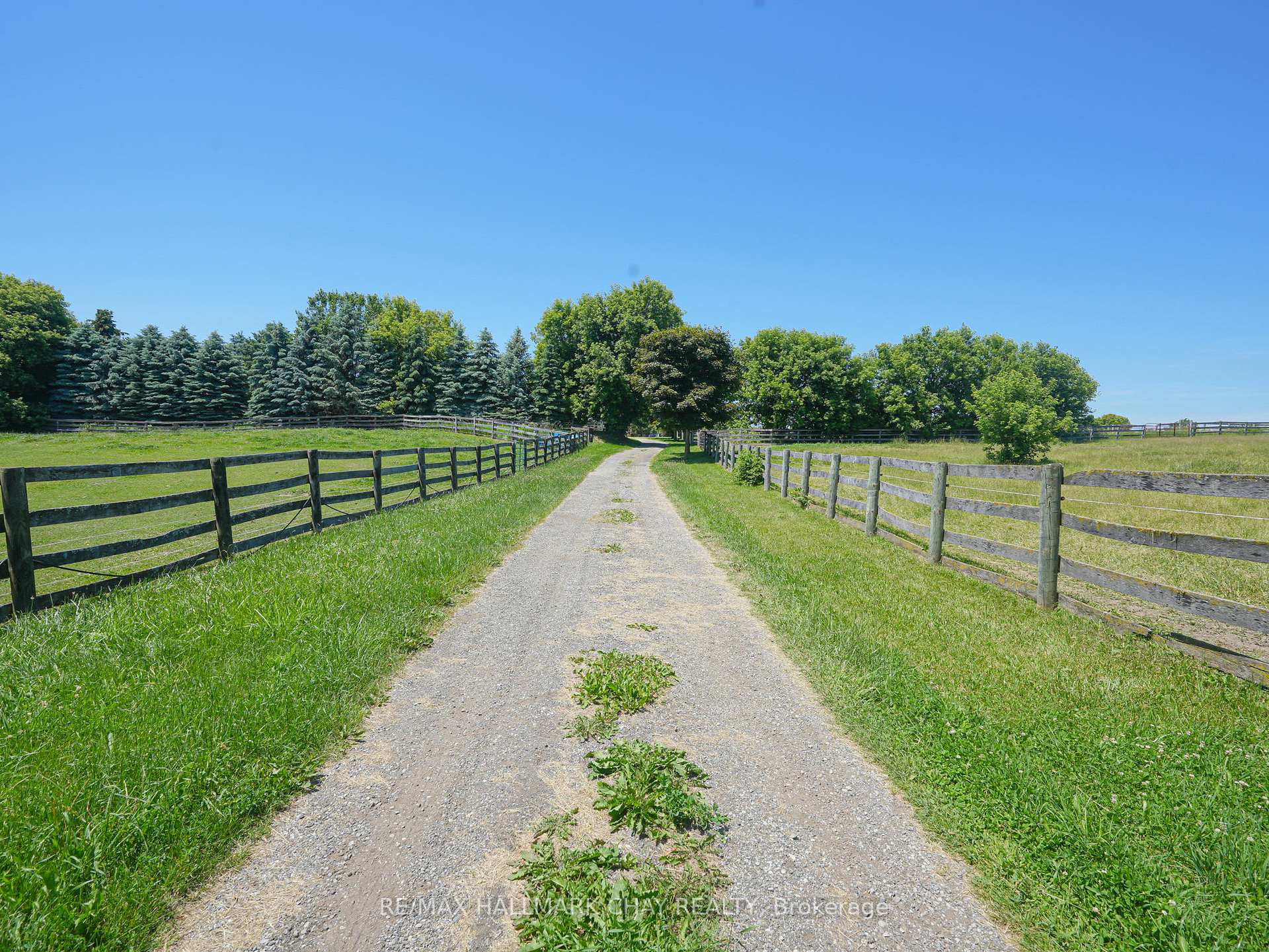 Photo 18 of 528375 5th Side Road, Mulmur, Rural Mulmur — HOMEH